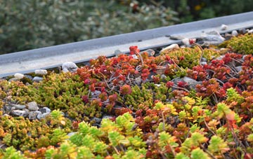 the cost of Orbiston green roof installation